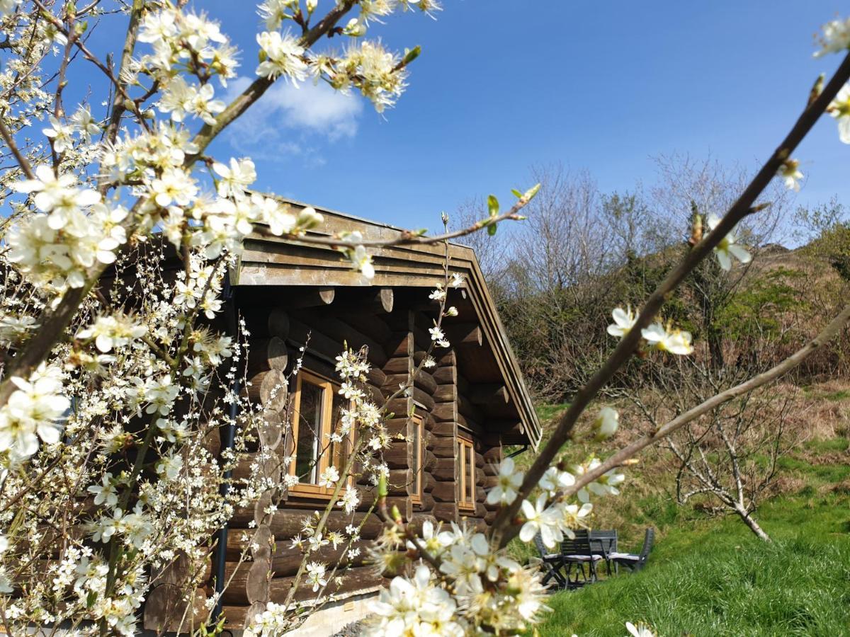 Newland Valley Log Cabins Ulverston Exterior photo
